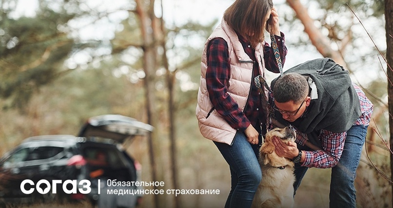 Заболевания щитовидной железы Заболевания щитовидной железы